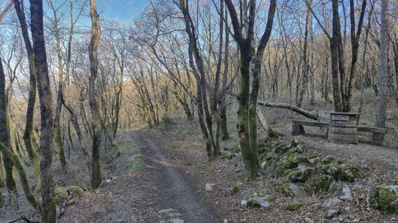 Фото с сайта Fabrizio Plesnizer во время экскурсии