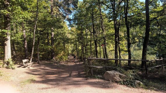 Photo de Simon Hauck le long du parcours