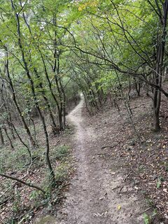 Foto von Robert.Unterlercher entlang der Tour