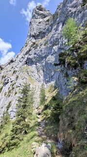 Foto von Roger Wilco entlang der Tour