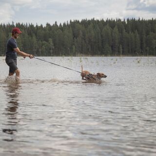 Ketturiutalla im Paistjärvi-Wandergebiet