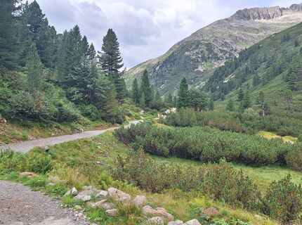 Photo de Gabrielasttz le long du parcours