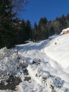 Foto de Dagmar Hofer a lo largo del recorrido