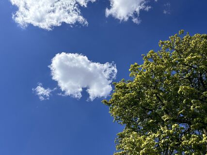Foto von Norbert Herbig entlang der Tour