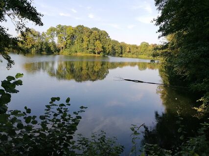 Um den Horstsee führt ein Weg direkt am Wasser entlang