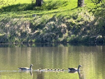 Foto von Denise Miller entlang der Tour