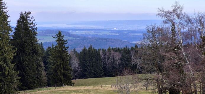 Фото с сайта Thomas Schekira во время экскурсии