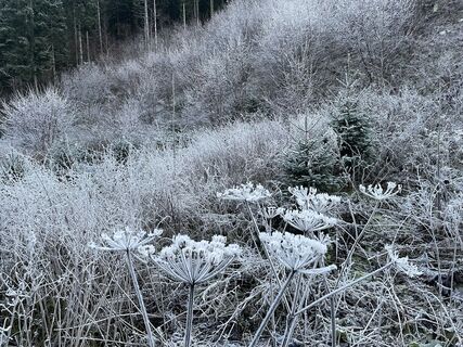 Fotografija s spletne strani Guillaume Condat na poti
