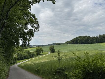 Foto von Denise Miller entlang der Tour