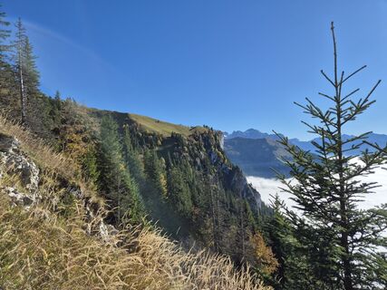 Photo de alinradu le long du parcours