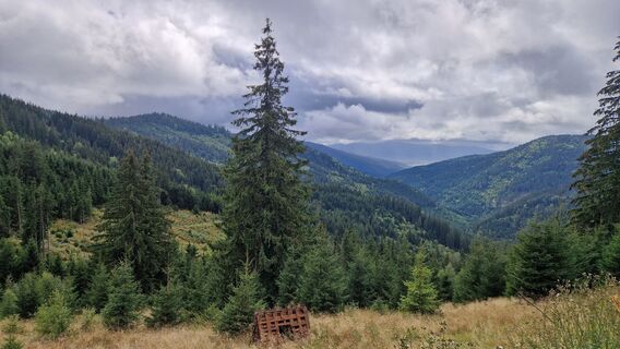 Foto von Kati G.-M. entlang der Tour