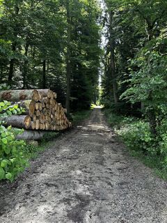 Fotografia z Hans-Ulrich Ingold na trase