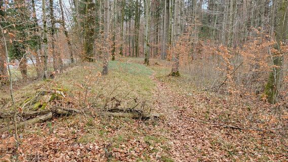 Foto de johannjosef a lo largo del recorrido