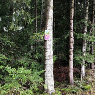 Beschilderung Schneeschuhtour