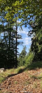 Photo de Günzi le long du parcours