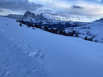 Foto von Sopia entlang der Tour