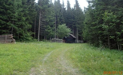 Jagdhütte Forststraße Anstieg