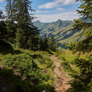 Pinzga Hatscha - Etappe 11