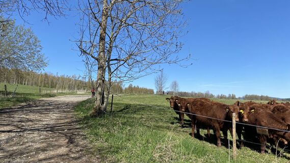 Foto de SeppOberhuber a lo largo del recorrido