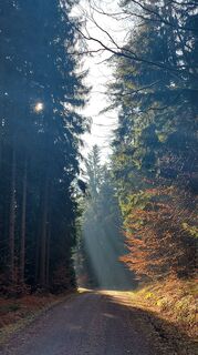 Foto von Anja Berger entlang der Tour