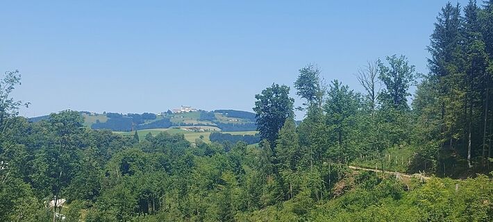 Foto de Klaus Gruber 3 a lo largo del recorrido