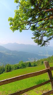 Foto von Theresia Weissenbacher entlang der Tour