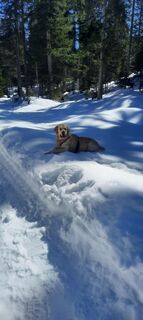 Foto von Markus sasse entlang der Tour