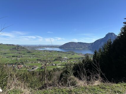 Fotografija s spletne strani Babs Holz na poti