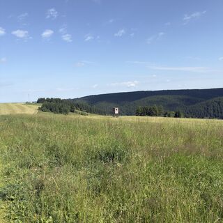 Foto von Steffen Kiesel entlang der Tour