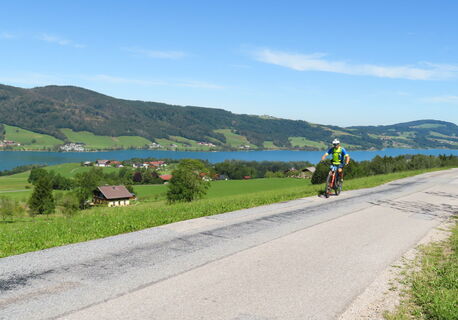 Irrseeblick