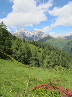 Blick von der Wiese bei der Gspadlalm nach NO