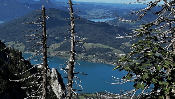 Fotó a Sehcup honlapról a túra során