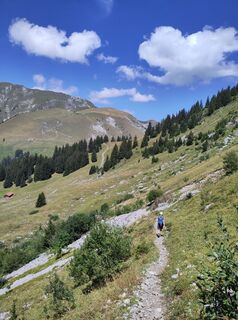 Photo de King Kong le long du parcours