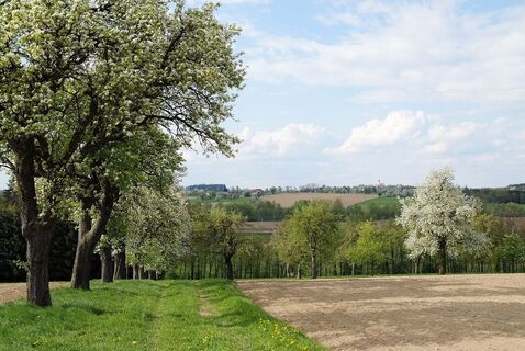 Unterwegs auf der Familien-Radroute Seitenstetten