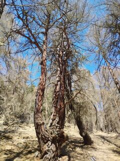 Foto de Peter Schröder a lo largo del recorrido