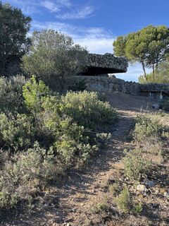 Photo de Mark Zimmerman le long du parcours