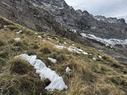 Photo de Niels Kooijman le long du parcours