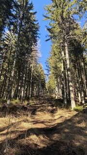 Foto van Vera Wagner langs de tour
