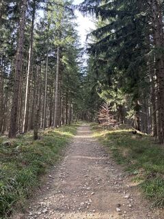 Fotografie z Heinz Sperl na trase