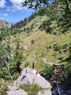 Photo de King Kong le long du parcours