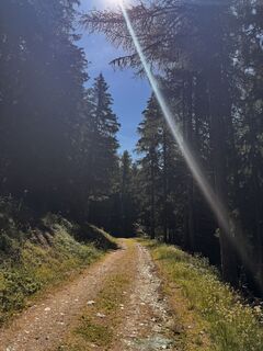 Fotografija s spletne strani Lyel Pianzola na poti