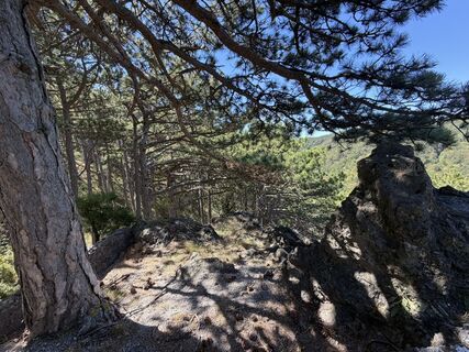 Photo de MJ le long du parcours