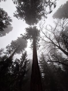 Fotografija s spletne strani Mimi na poti