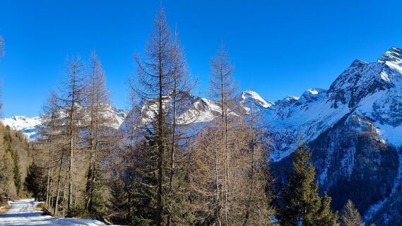 Photo de walrei le long du parcours