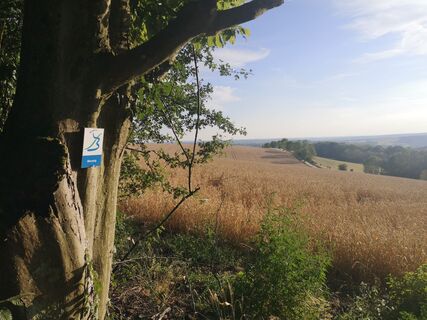 Bliessteig mit Blick Richtung Frankreich