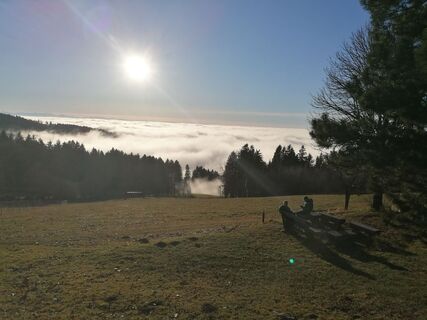 Fotografia z Michael Gschwandtner na trase