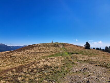 Fotografia z Peter Orasche na trase