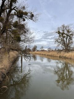 Photo de Cyrill Bischof le long du parcours