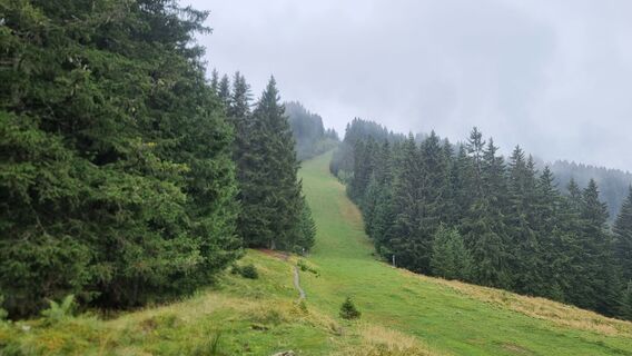 Photo de Jonas Hork le long du parcours