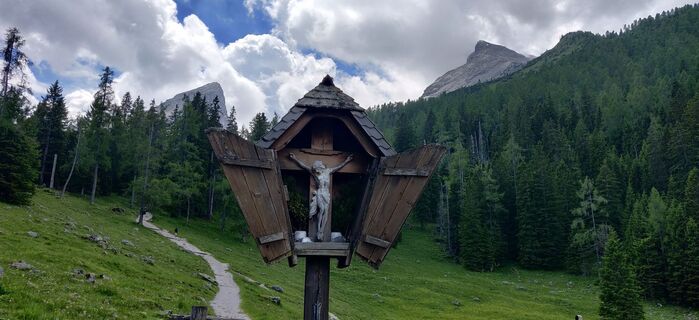 Fotografija s spletne strani Rosa Walk-jansen na poti